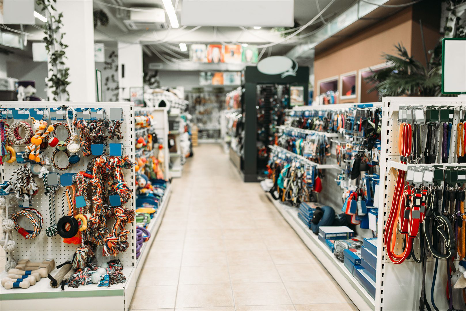 pet-shop-interior-shelves-with-accessories