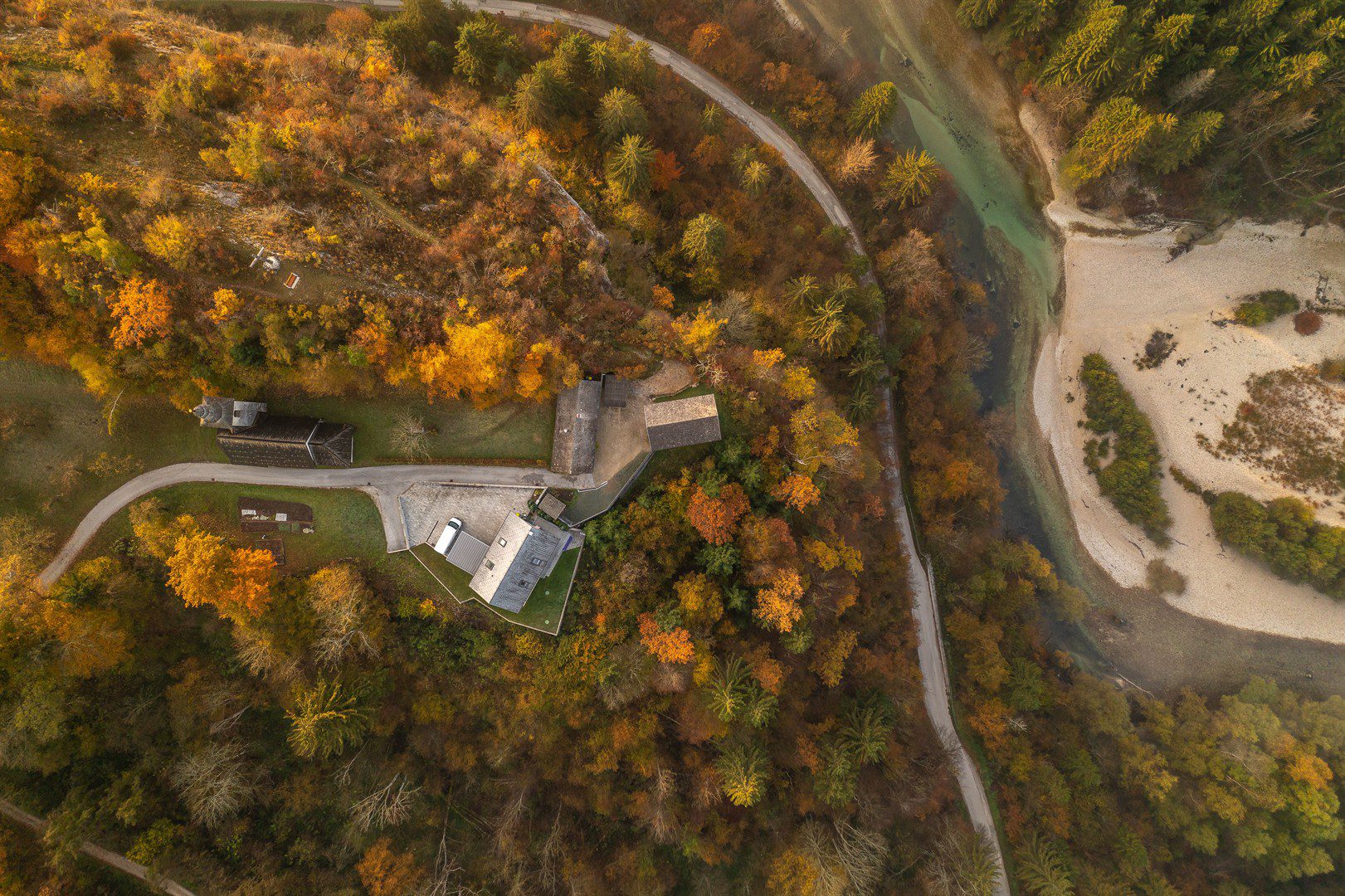 autumn-in-the-forest